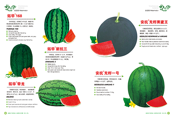 拓华新抗三