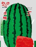 圣鹰